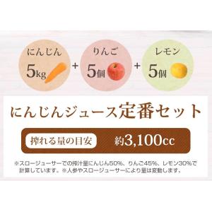 にんじん 人参 無農薬人参 にんじんジュース用...の詳細画像2