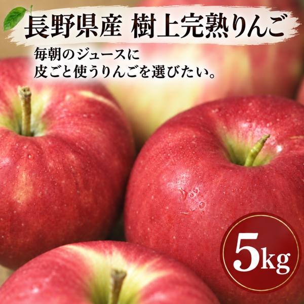 りんご 長野県産 訳あり 減農薬 リンゴ 5kg   特別栽培農産物 樹上完熟 家庭用 ご家庭用 フ...