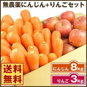 にんじん 人参 送料無料 野菜セット 無農薬にんじん８ｋｇ＋慣行栽培りんご３ｋｇ