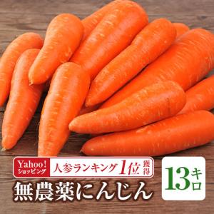 にんじん 人参 無農薬人参 13kg 訳あり 無農薬 ニンジン 無農薬にんじん 人参ジュース にんじんジュース ゲルソン療法 ジュース用 野菜 国産