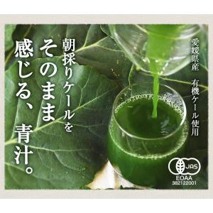 青汁 国産 無農薬 ケール 無添加 冷凍青汁 ...の詳細画像2