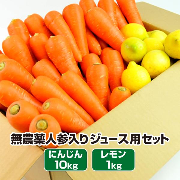 にんじん 人参 無農薬にんじん 野菜セット 人参10kg＋レモン1kg 訳あり ジュース用 人参ジュ...