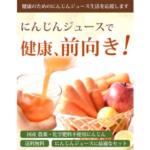 にんじん 人参 無農薬にんじん 野菜セット 人...の詳細画像1