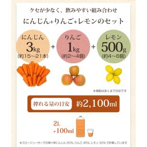 にんじん 人参 無農薬にんじん 野菜セット 人...の詳細画像2