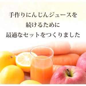 にんじん 人参 無農薬にんじん 野菜セット 人...の詳細画像3