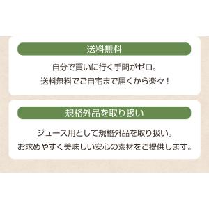 にんじん 人参 無農薬にんじん 野菜セット 人...の詳細画像5