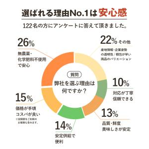(最大17倍!今だけ特価)にんじん 人参 無農...の詳細画像5