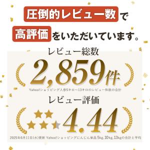 (最大17倍!今だけ特価)にんじん 人参 無農...の詳細画像3
