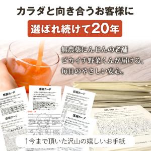 (最大17倍!今だけ特価)にんじん 人参 無農...の詳細画像2