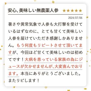 (最大17倍!今だけ特価)にんじん 人参 無農...の詳細画像4