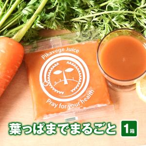 人参ジュース 無添加 無農薬人参 葉っぱ付き丸ごと にんじんジュース 1箱 100ml×30P 冷凍 ストレート 野菜ジュース