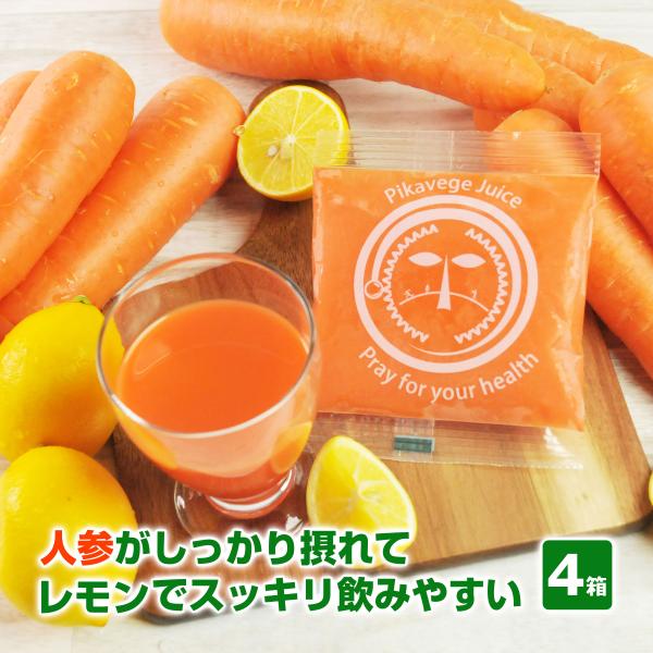 人参ジュース 無添加 にんじんジュース にんじんレモンジュース 4箱 100ml×120P 冷凍 無...