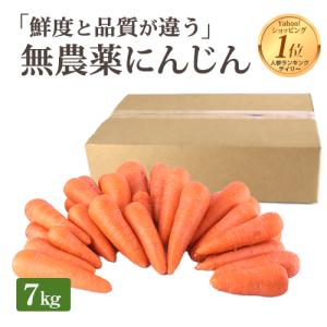 にんじん 人参 無農薬人参 7kg 訳あり 無農薬 ニンジン 無農薬にんじん 人参ジュース にんじんジュース ゲルソン療法 ジュース用 野菜 国産