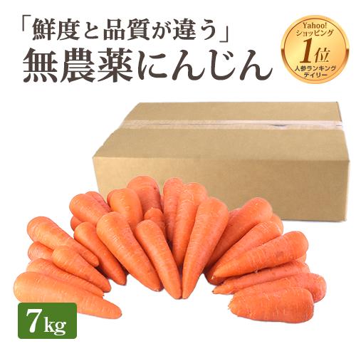 にんじん 人参 無農薬人参 7kg 訳あり (常温便) 無農薬 ニンジン 無農薬にんじん 人参ジュー...