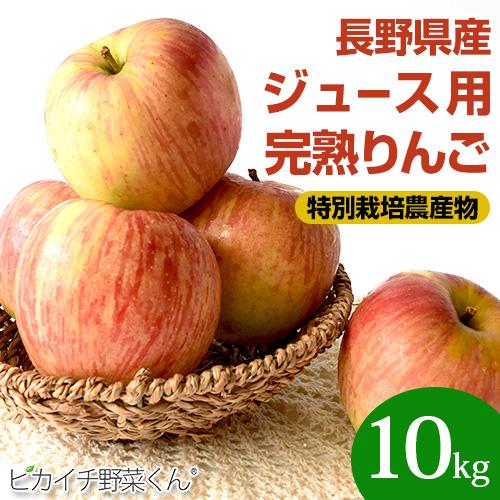 りんご 長野県産 訳あり 減農薬 リンゴ 10kg 特別栽培農産物 樹上完熟 林檎 家庭用 ご家庭用...