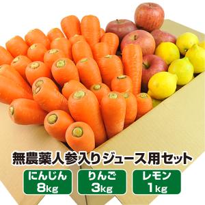 にんじん 人参 無農薬にんじん 野菜セット 人参8kg＋りんご3kg＋レモン1kg 訳あり ジュース用 人参ジュース ゲルソン療法 野菜 国産｜pika831