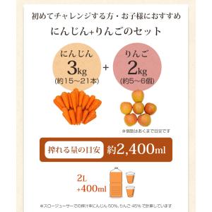 にんじん 人参 無農薬にんじん 野菜セット 人...の詳細画像2