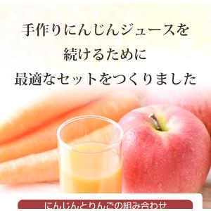 にんじん 人参 無農薬にんじん 野菜セット 人...の詳細画像3