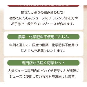 にんじん 人参 無農薬にんじん 野菜セット 人...の詳細画像4