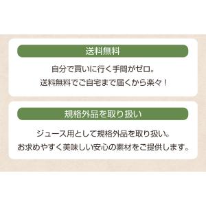 にんじん 人参 無農薬にんじん 野菜セット 人...の詳細画像5