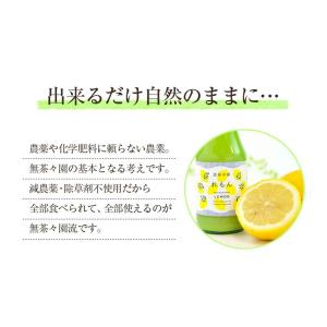 レモン ストレート果汁 8本 セット レモン果...の詳細画像3