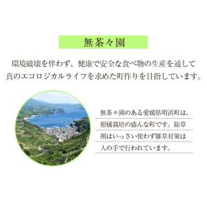 レモン ストレート果汁 8本 セット レモン果...の詳細画像4