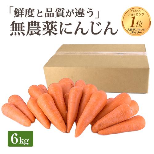 にんじん 人参 無農薬人参 6kg 訳あり (常温便) 無農薬 ニンジン 無農薬にんじん 人参ジュー...