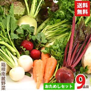 野菜セット 箱根南麓の伊豆の野菜 お試しセット 静岡県産 9品目 国産 無農薬 減農薬 機能性野菜