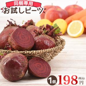 同梱専用 ビーツ 国産 1個 機能性野菜 イタリア野菜 にんじんジュース ビート