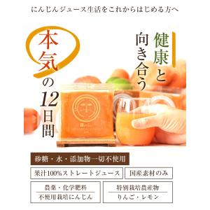 人参ジュース 無添加 にんじんジュース お試し...の詳細画像1