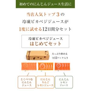 人参ジュース 無添加 にんじんジュース お試し...の詳細画像2