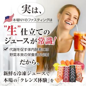 ファスティング ハーフ 3デイ セット 3箱分...の詳細画像1