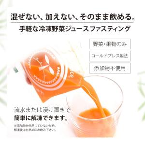 ファスティング ハーフ 3デイ セット 3箱分...の詳細画像2