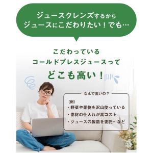 ファスティング ハーフ 3デイ セット 3箱分...の詳細画像4