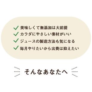 ファスティング ハーフ 3デイ セット 3箱分...の詳細画像5