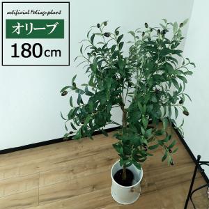 造花 椰子（ヤシ）の葉 5本セット : 日本の四季・行事の店 木瓜屋 もく