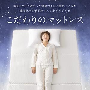 三つ折りマットレス 硬め 腰痛対策 エコラテ ...の詳細画像1