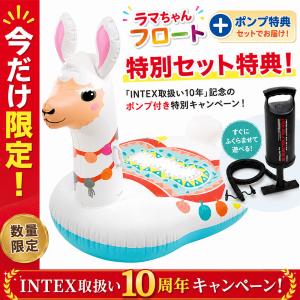 フロート フローター 浮き輪 浮き具 ビニール...の詳細画像1
