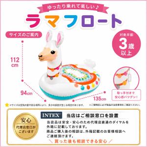 フロート フローター 浮き輪 浮き具 ビニール...の詳細画像4