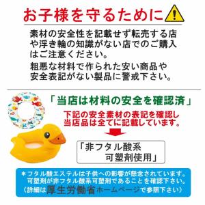 スイムベスト 浮き輪 浮輪 ビーチ プール か...の詳細画像5