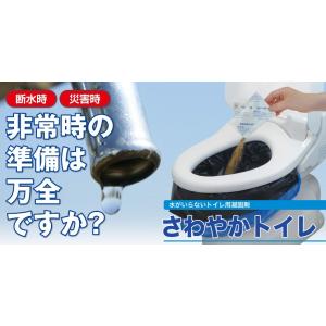 さわやかトイレ    10回分×３箱 　メーカー直送指定不可　業務用製品