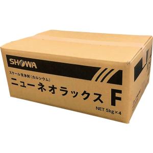 リストン セーフティ(20kg) 共栄 タイル 石材 外壁洗浄剤 弱酸性