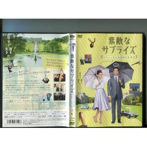 「素敵なサプライズ ブリュッセルの奇妙な代理店」 中古DVD レンタル落ち/イェルン・ファン・コーニ...