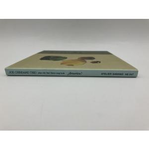 AMERICA! Joe Chindamo T...の詳細画像2