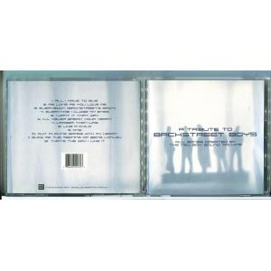 A TRIBUTE TO BACKSTREET BOYS/CD 中古 セル版/e2583