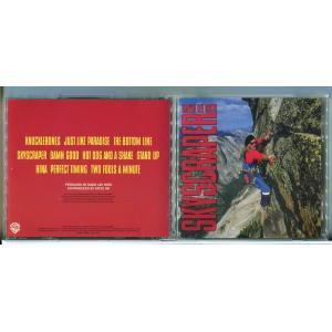 デイヴィッド ・リー・ロス/スカイスクレイパー/CD 中古 セル版/e3091