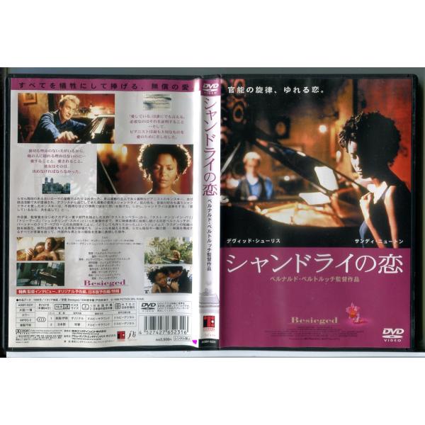 シャンドライの恋/DVD 中古 セル版/e3149