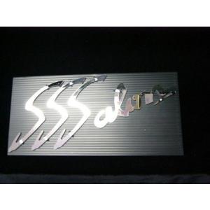 SSSalon　ステンレス切り文字（大）