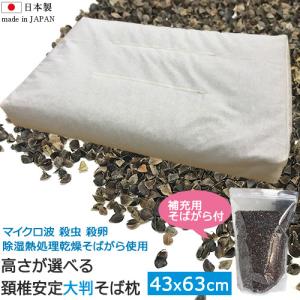 P2倍 日本製 43x63cm 頚椎安定型 そば枕 殺虫 殺卵 熱処理乾燥 高さ調整 詰め替え用 そば殻付き 全そば枕 そばまくら 枕 国産 国内生産 即納 即発送