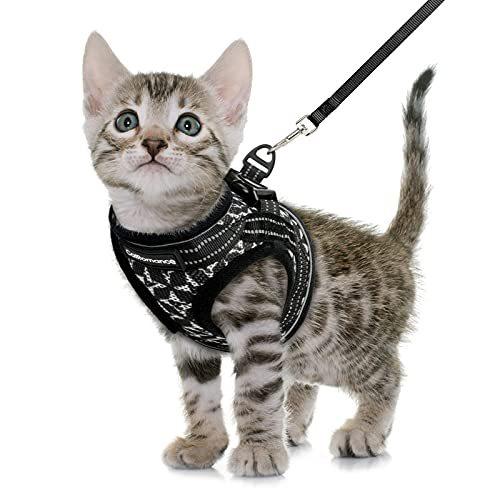 CatRomance Cat Harness and Leash for Walking Escap...